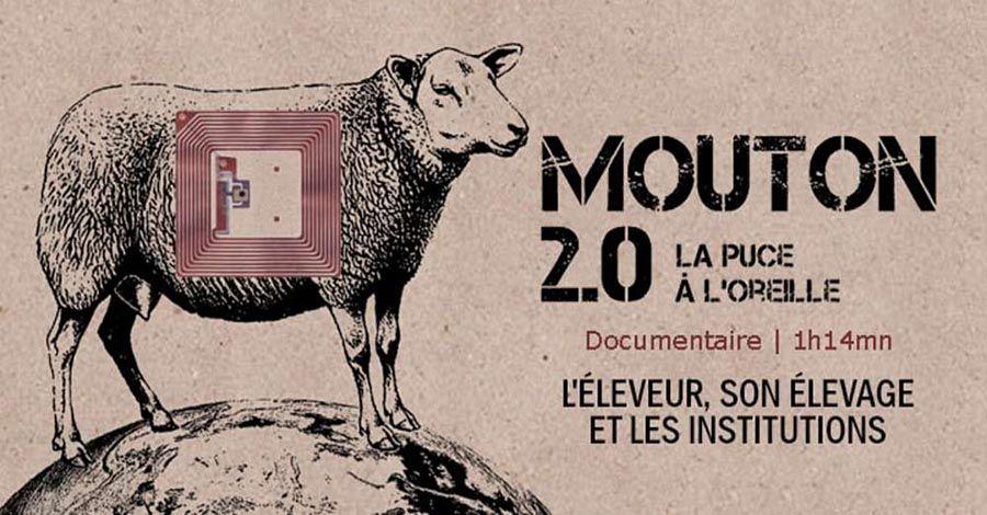 Mouton 2.0 - Film documentaire