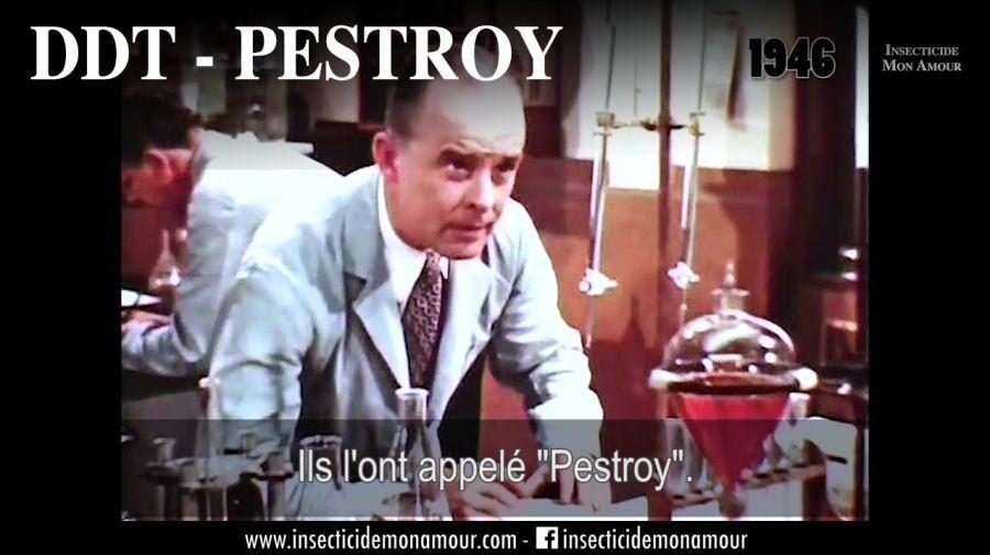 Pestroy - DDT