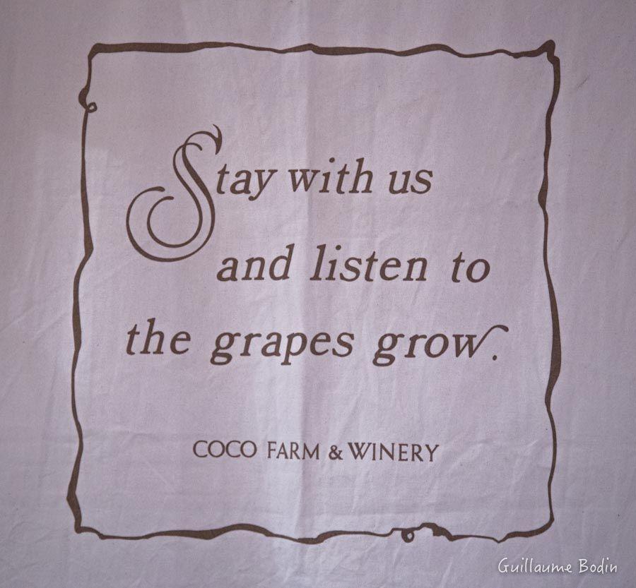 Stay with us and listen to the grapes grow. Coco Farm & Winery