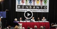 Tribunal Monsanto