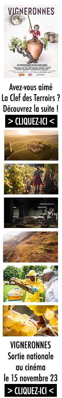 Vigneronnes - Film documentaire