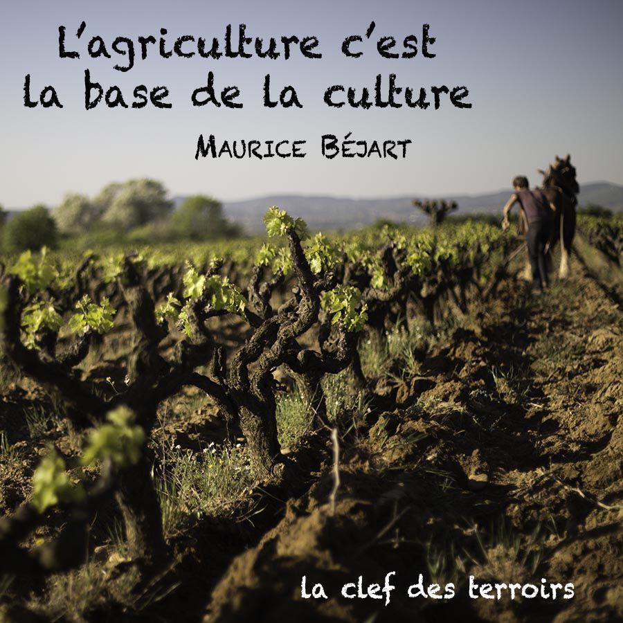 L'agriculture c'est la base de la culture