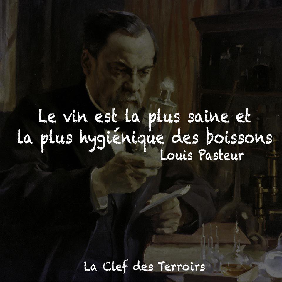 Le vin est la saine et la plus hygiénique des boissons