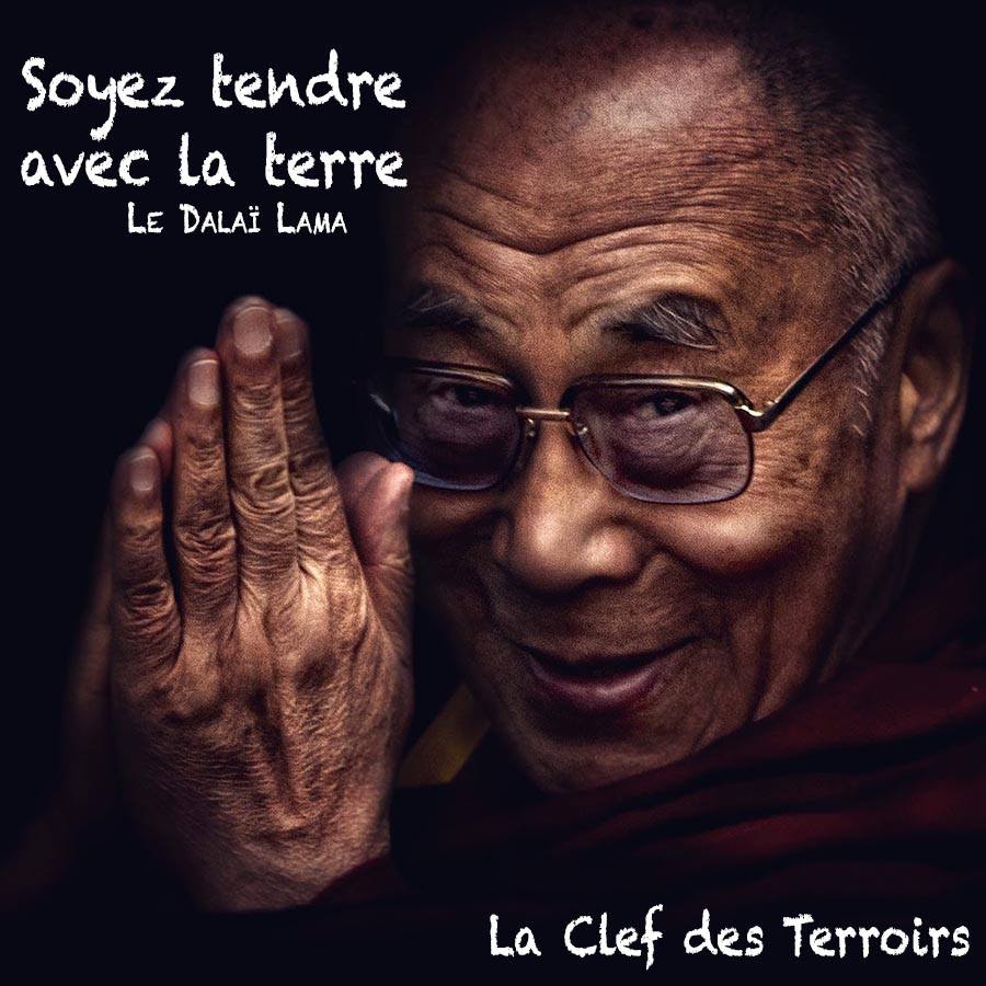 Soyez tendre avec la terre - Le Dalaï Lama