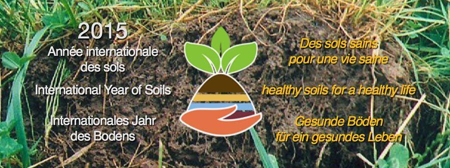 2015 Annee Internationale des Sols - FAO