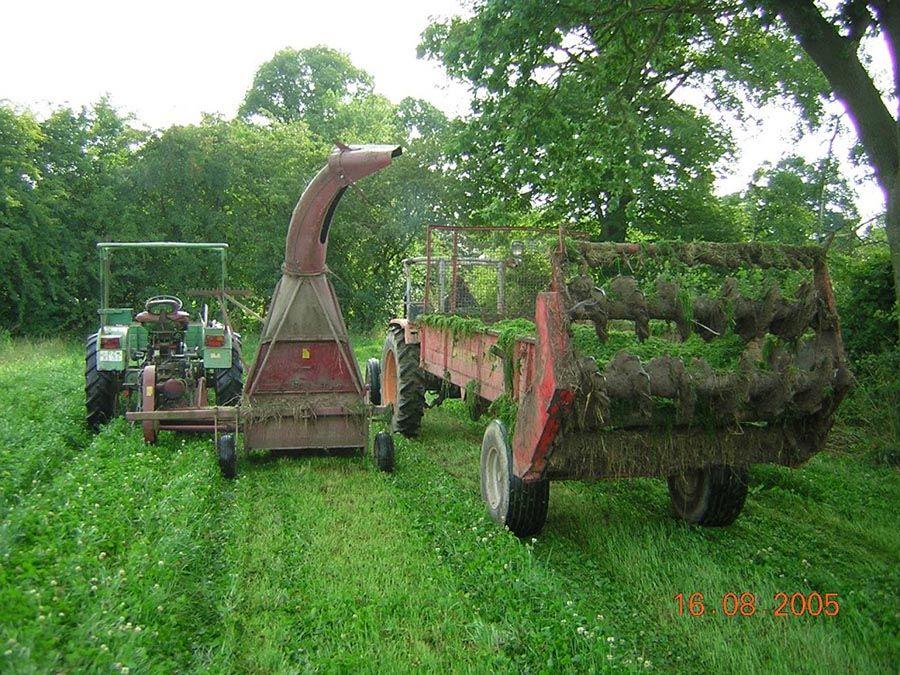 Maraîchage sous mulch - Récolte et épandage du Mulch