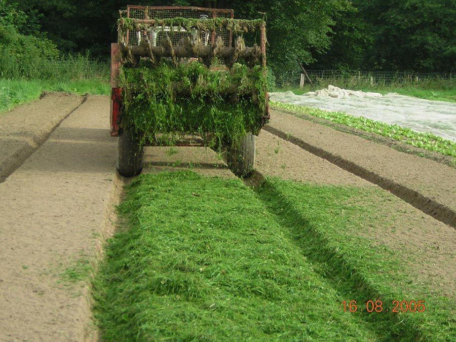 Maraîchage sous mulch - Récolte et épandage du Mulch