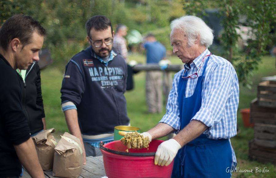 Matricaire camomille - Biodynamie