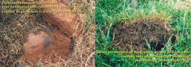 Transformation des sols agricoles grâce à la biodynamie