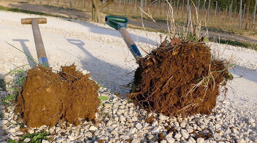 Profils de sol bio vs biodynamie - Bouches du Rhône