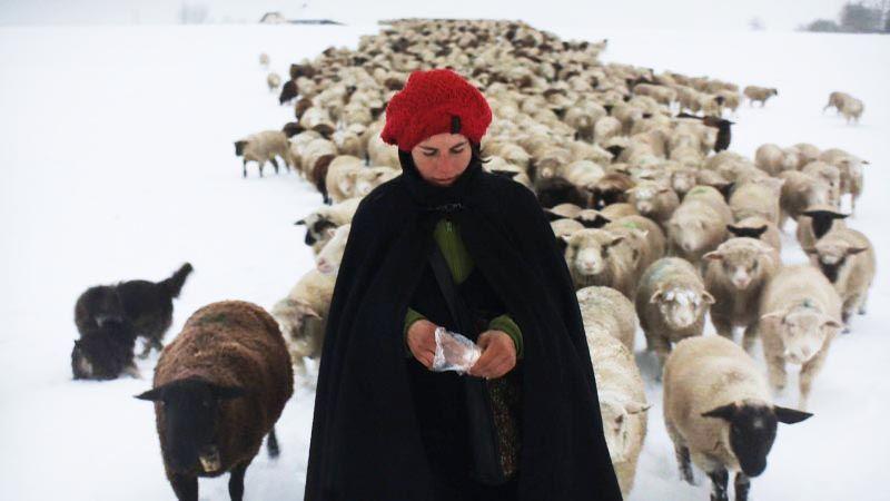 Hiver Nomade