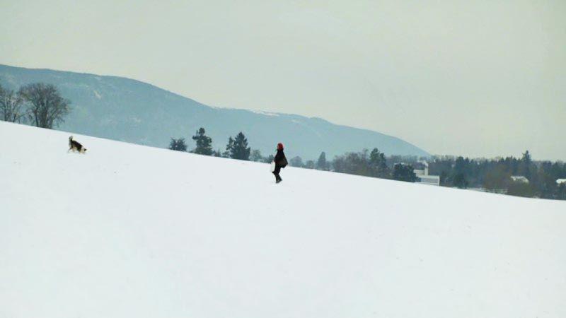 Hiver Nomade