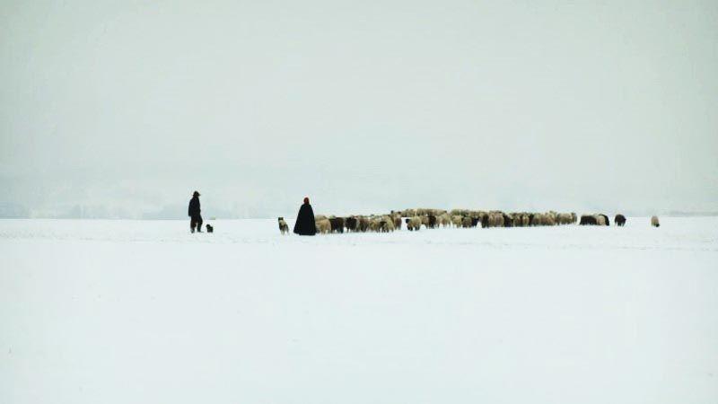 Winter Nomads