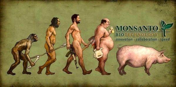 Monsanto Evolution