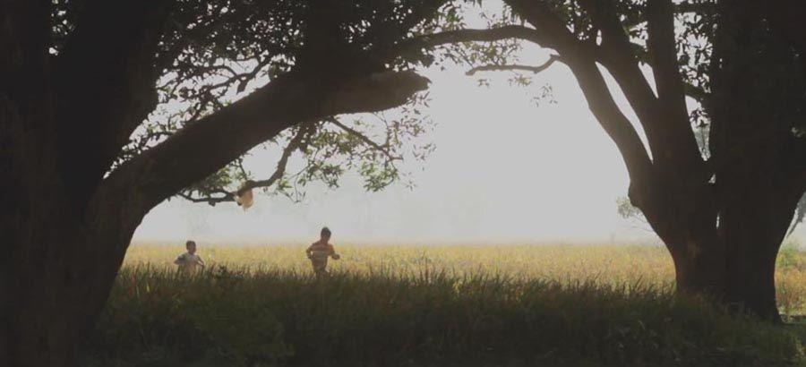 Enfants dans la nature