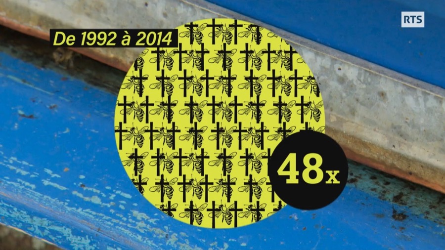 De 1992 à 2014, l'incidence des pesticides sur les populations d'abeilles est 48 fois plus importante