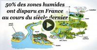 Zones humides, zones utiles : agissons !