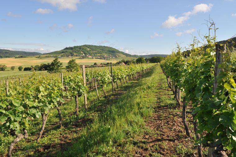 Hautes-Côtes de Nuits