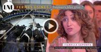Fermes usines / Isabelle Saporta