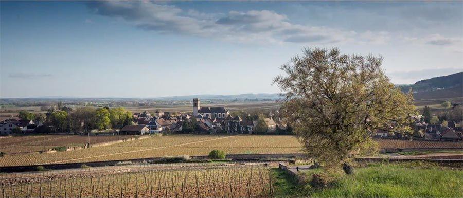 Village de Pommard en Bourgogne