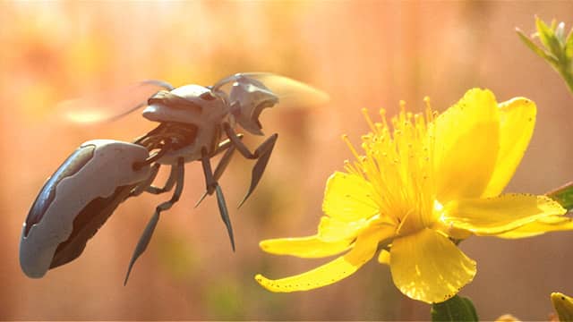 Robobees, l'abeille du futur