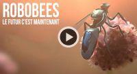 Robobees: le futur de l'agriculture ?