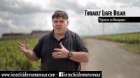 Thibault Liger Belair - Domaine Thibault Liger Belair