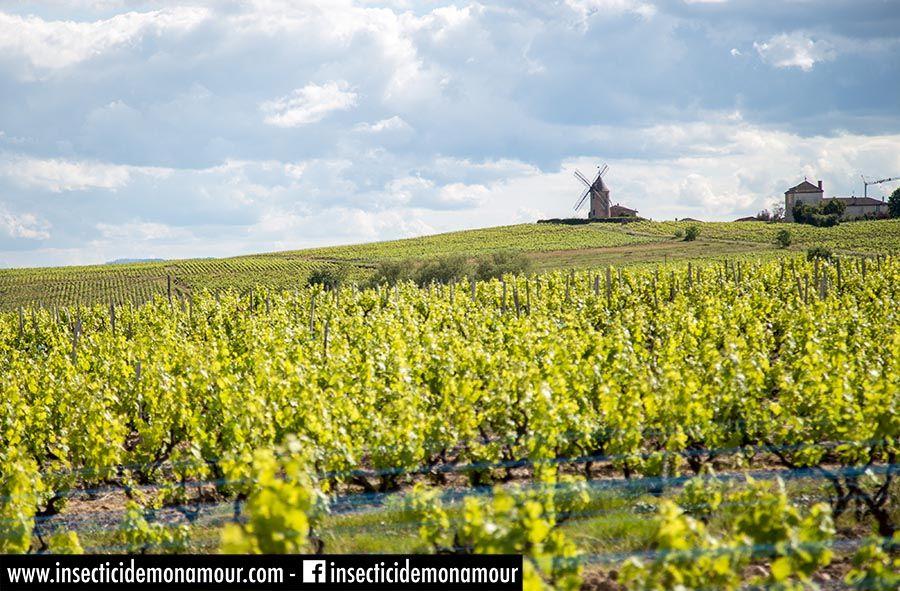 Moulin à Vent