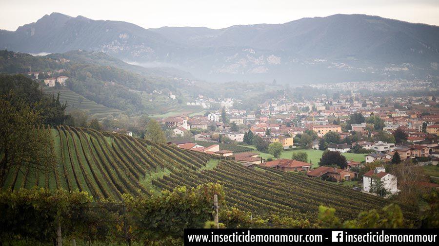 Vignoble du Tessin