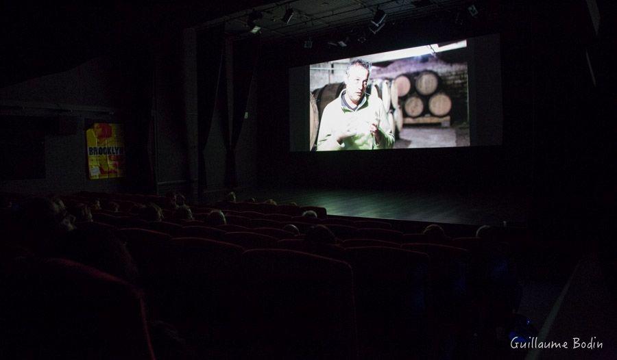 Insecticide Mon Amour au Ciné Novel à Annecy