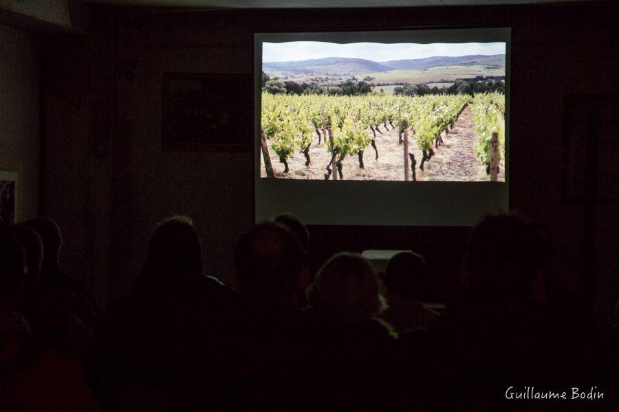 Vins Duvernay - Projection de "Insecticide Mon Amour"