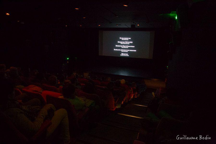 Projection de "Insecticide Mon Amour" au Cinéma Le Parc