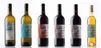 6 bouteilles de vins