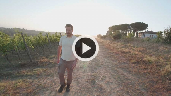 Alessio GORINI dans les vignes