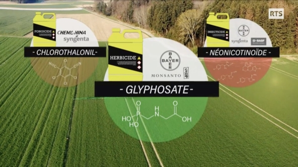 Trois familles de pesticides, un herbicide, un insecticide et un fongicide