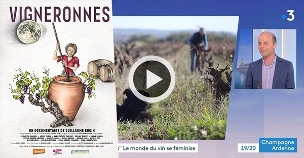 Guillaume Bodin dans le 19/20 de France3 Champagne-Ardenne