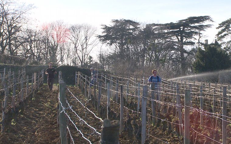 laclefdesterroirs-agriculture-06