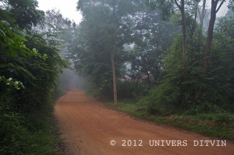 auroville