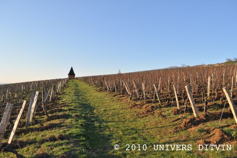 Le Clocheton dans les Pouilly-Vinzelles Les Quarts