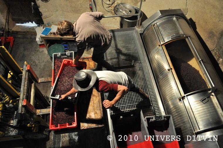 Pressurage des Beaujolais