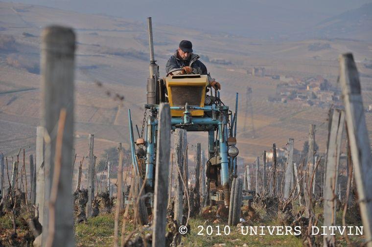 Labour au tracteur