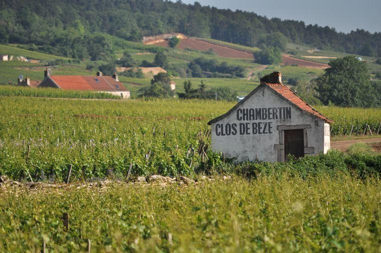 Clos de Bèze, Gevrey Chambertin