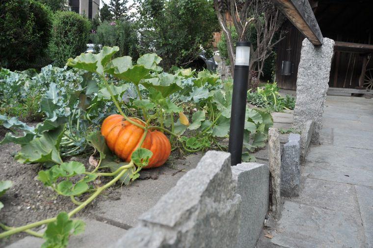 Jardin du Hameau Albert 1er Chamonix