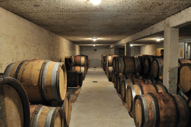 Cave à Fûts