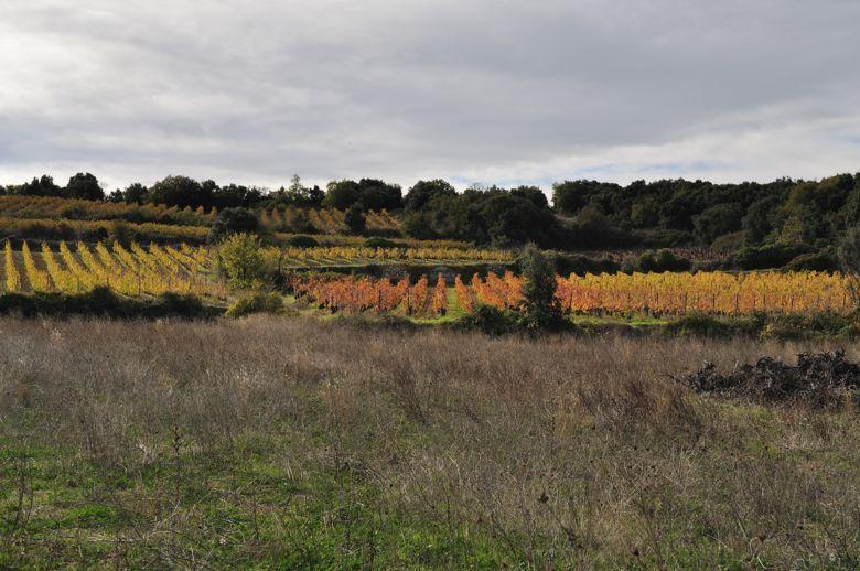 Domaine de la Marfée