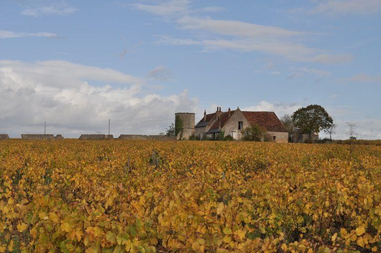 Clos du Bourg