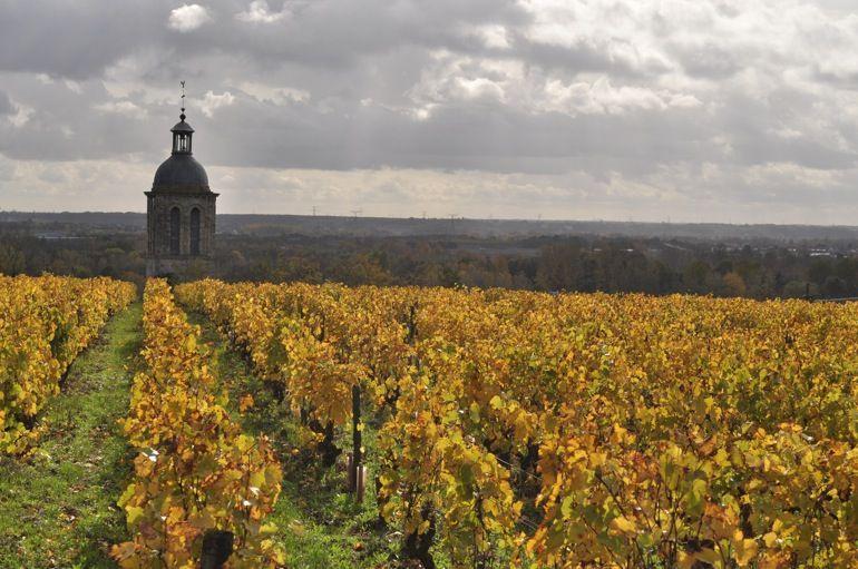 Le clocher de Vouvray depuis le Clos du Bourg