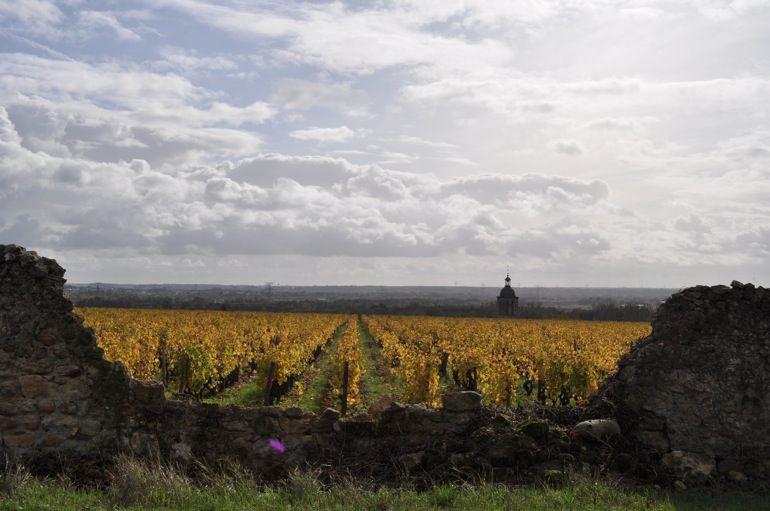 Clos du Bourg