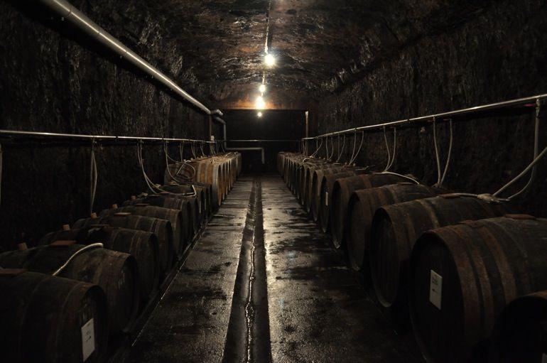 Cave à fûts dans le tuffeau