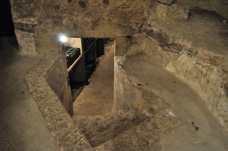 Cave à vieux millésimes